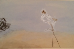 Am_Strand2