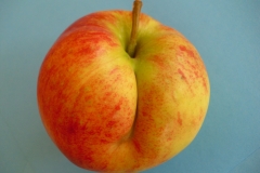 Apfel1