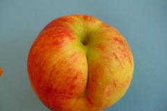 Apfel2