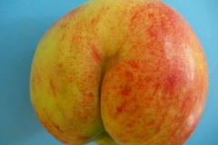 Apfel3