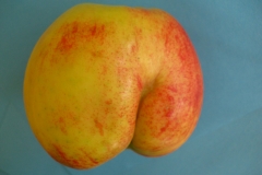 Apfel4
