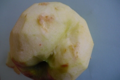 Apfel7