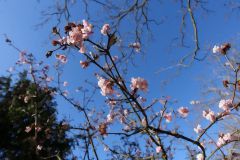 DSC00206_ICWP-FF_720
