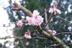 DSC00312_oel_720
